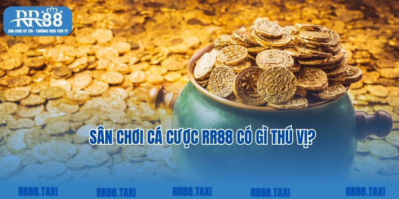 Sân chơi cá cược RR88 có gì thú vị?
